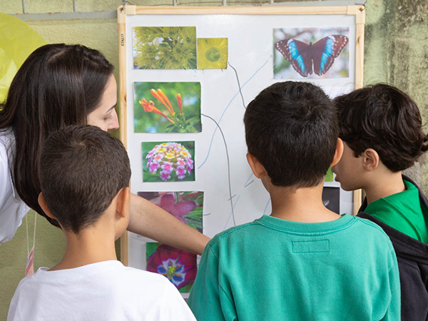 Foto do portal da UFV