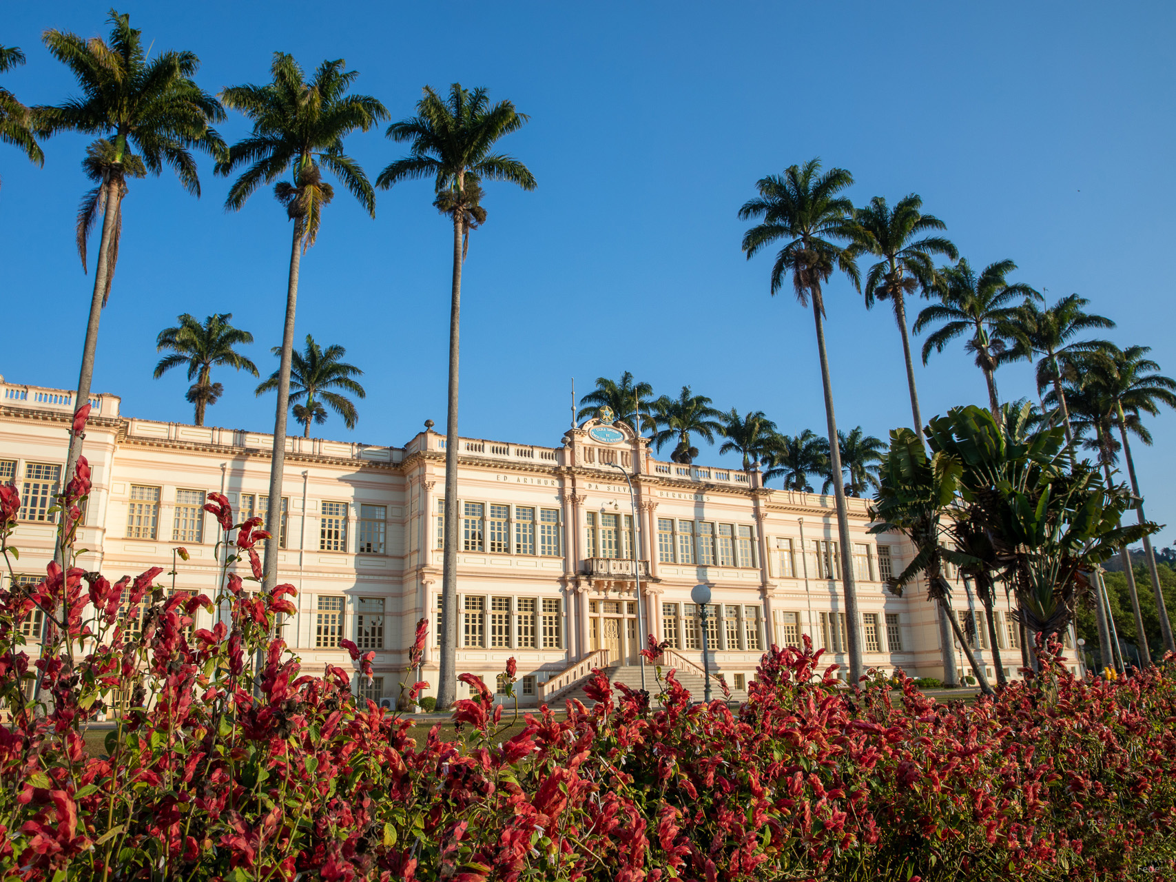 Fachada do prédio principal, rodeado por palmeiras, numa manhã de céu azul. Em frente a ele, canteiro com flores vermelhas. 