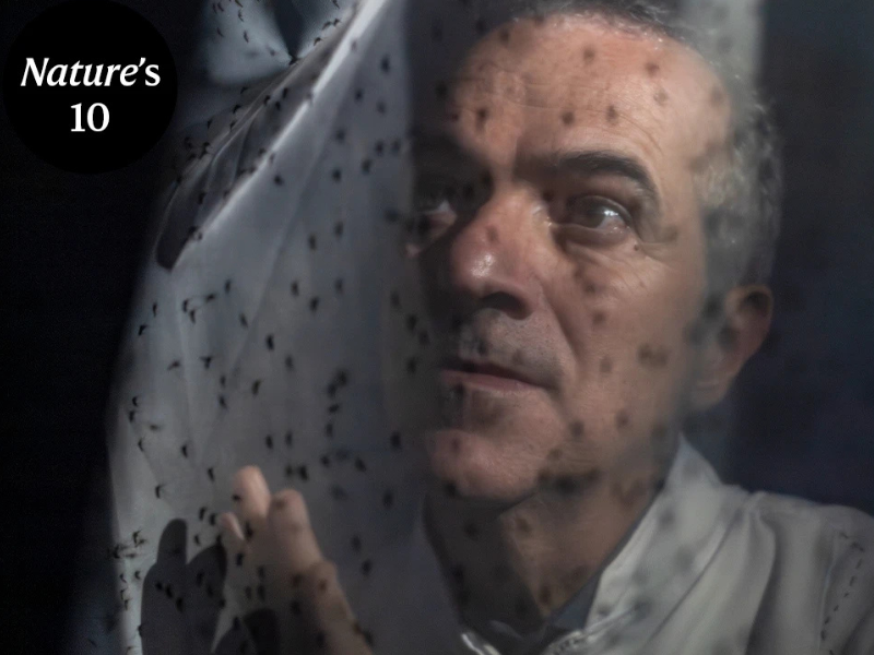 Homem branco, grisalho e sobrancelhas grossas por trás de um véu com centenas de mosquitos pousados. 