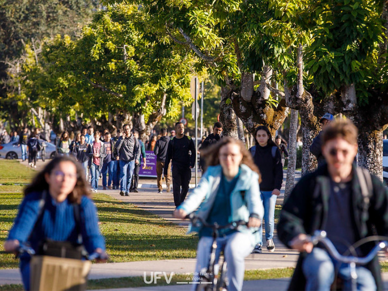 Dezenas de jovens andando na calçada num dia de sol. A calçada é cercada por árvores de um lado e gramado do outro. 