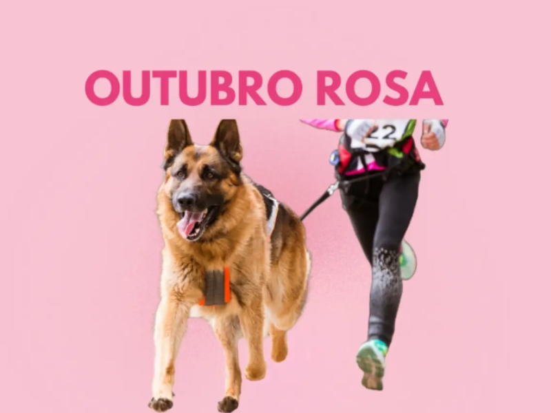 Mulher correndo com cachorro da raça pastor alemão em coleira. 