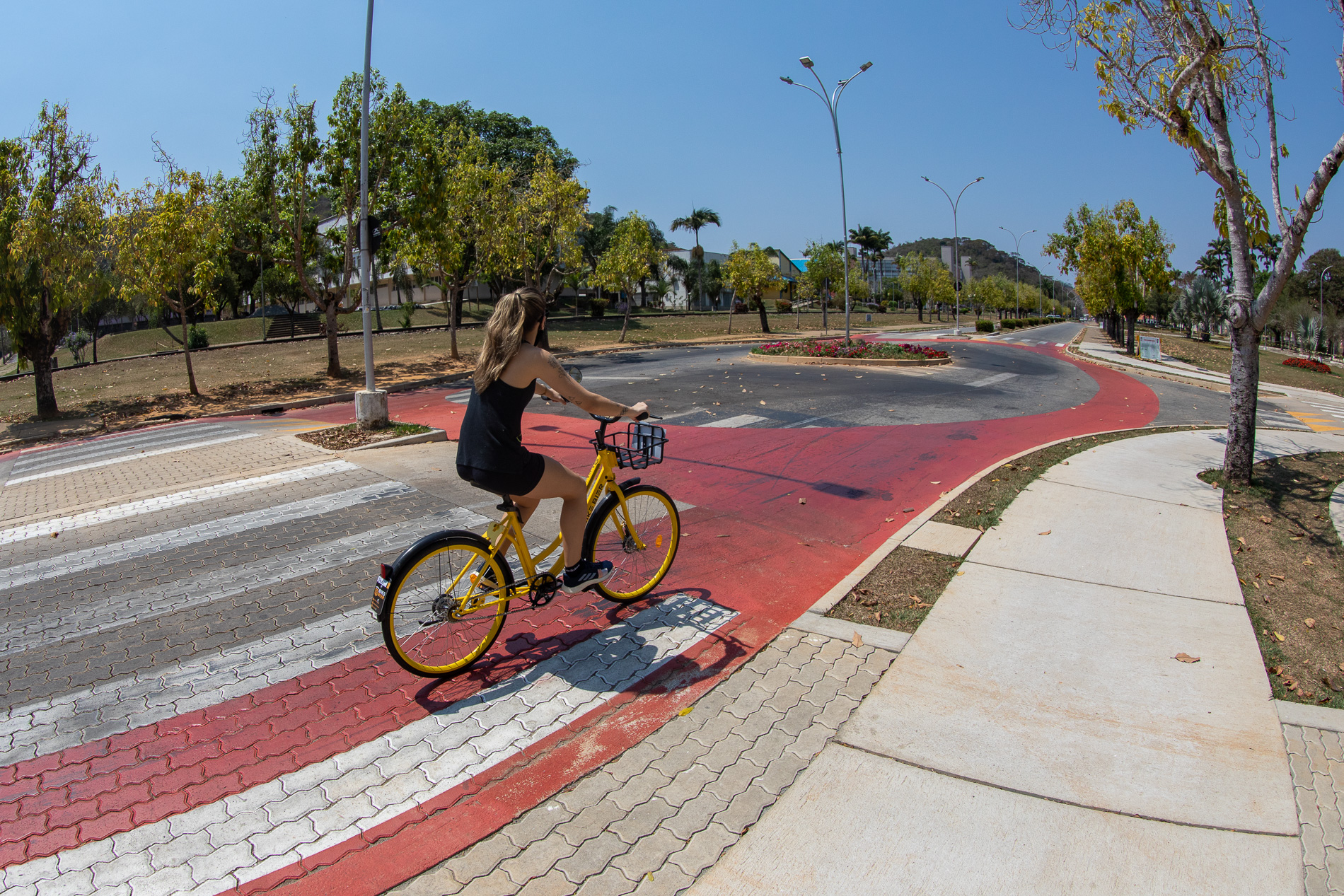 Mulher andando numa bicicleta amarela pelo campus da UFV em Viçosa, perto de uma rotatória. 