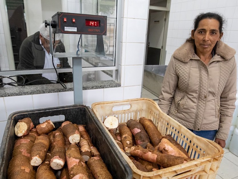 Maria do Carmo ao lado de uma balança com dois cestos plásticos repletos de mandiocas cortadas, pesando 147 quilos. 