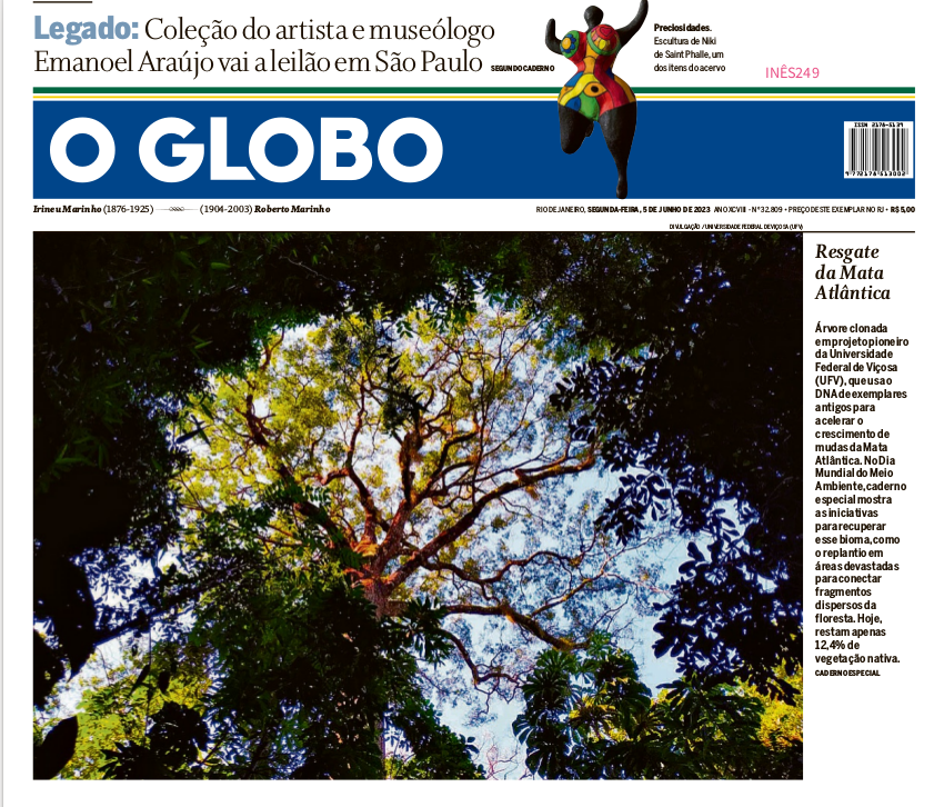 Capa do jornal O Globo. Na foto principal, a copa de uma grande árvore vista por baixo. 