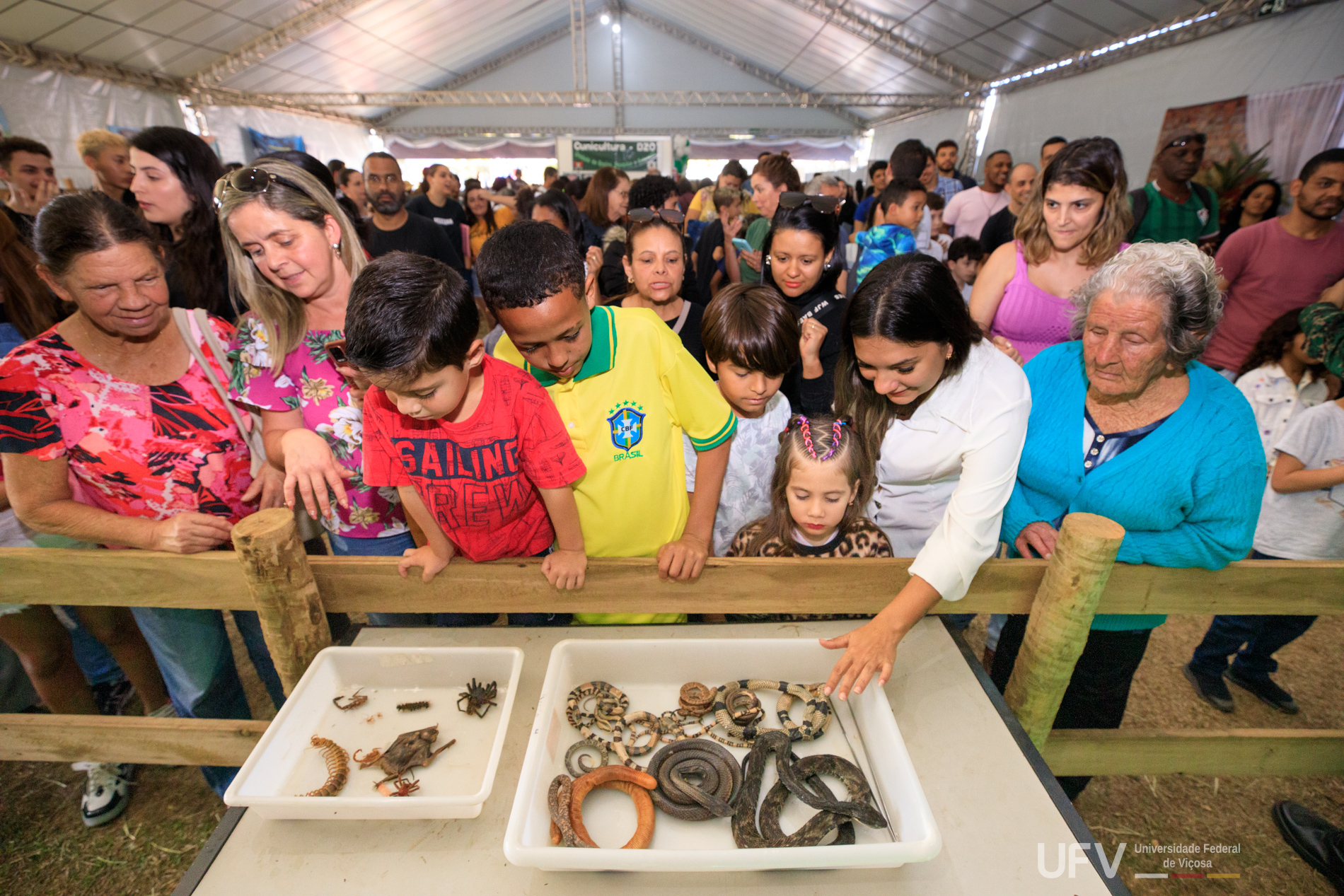 Foto do interior de uma tenda branca, onde um grupo de crianças observa espécies de répteis em uma caixa branca. 