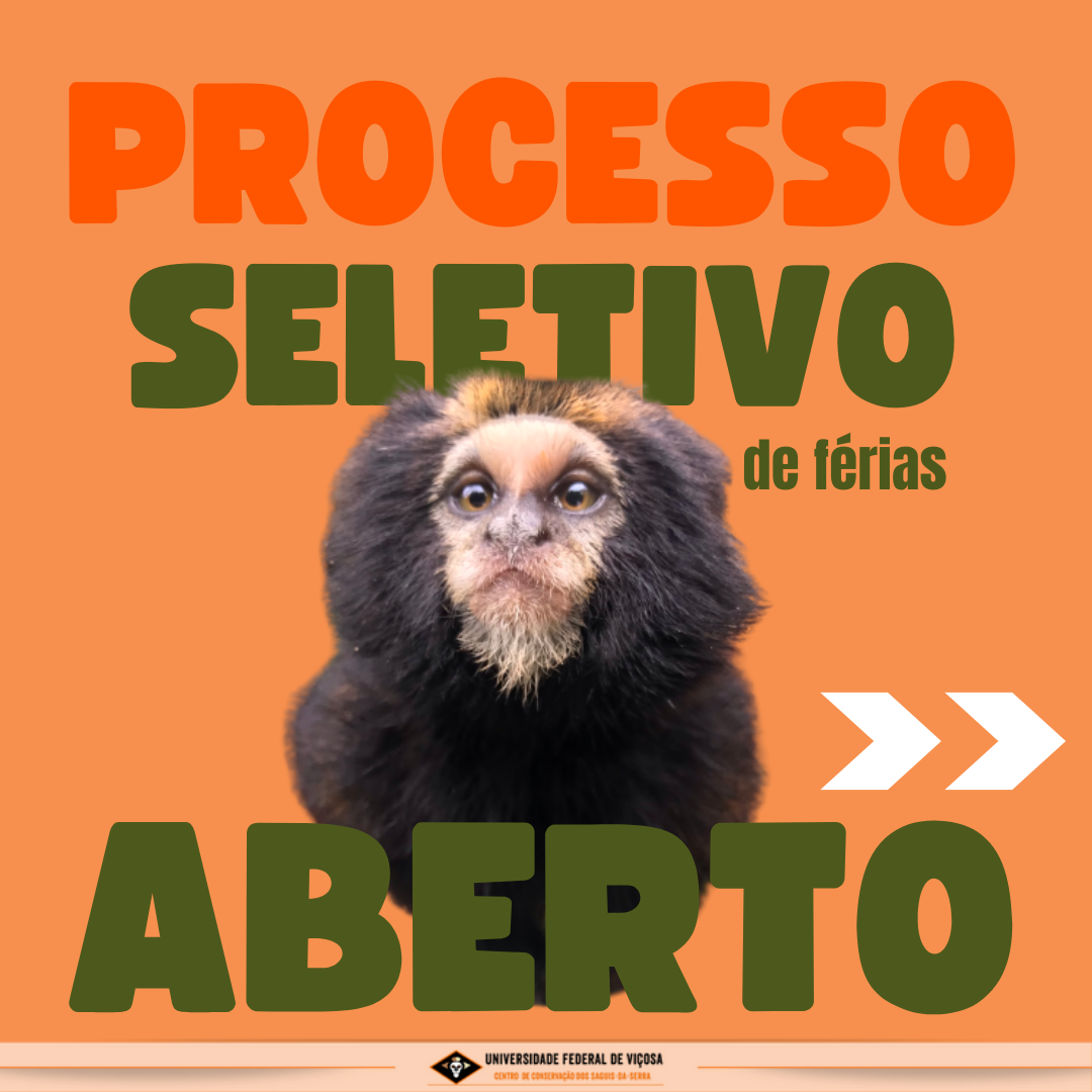 Foto de um sagüi-da-serra sobre fundo laranja e texto: processo seletivo de férias aberto. 