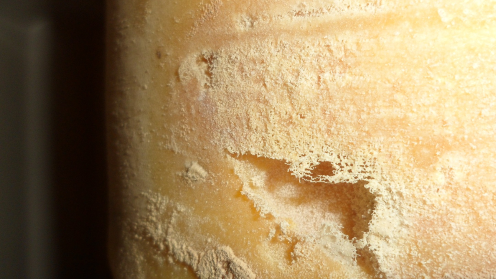 Foto bastante aproximada de um queijo amarelo-ouro. A superfície tem apecto ressecado e alguns buracos. 
