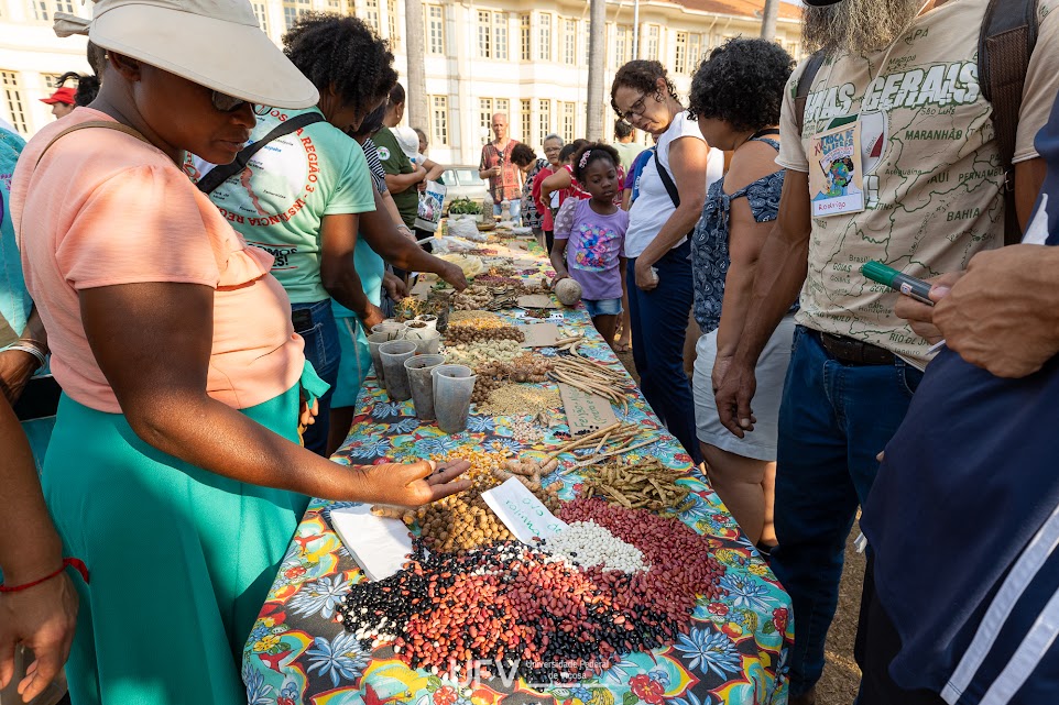 Uma longa mesa com toalha de flores coloridas. Sobre ela, vários montes de sementes diferentes, algumas dentro de copos plásticos. Muits pessoas estão ao redor da mesa, algumas manuseando as sementes. 