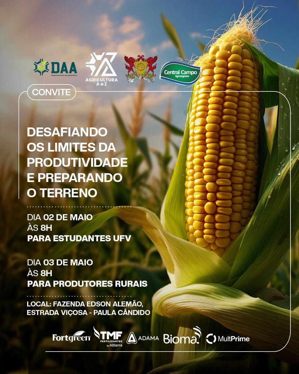 Imagem de plantação de milho gerada por computador com milho descascado em destaque. Texto com informações da notícia. 