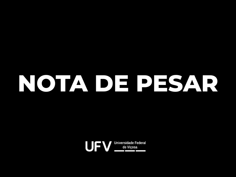 Foto do portal da UFV