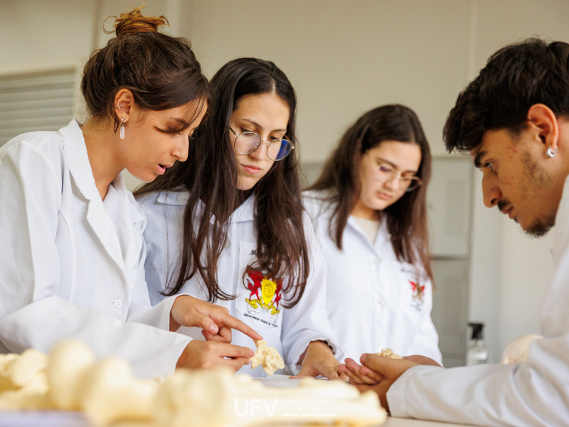 Foto do portal da UFV