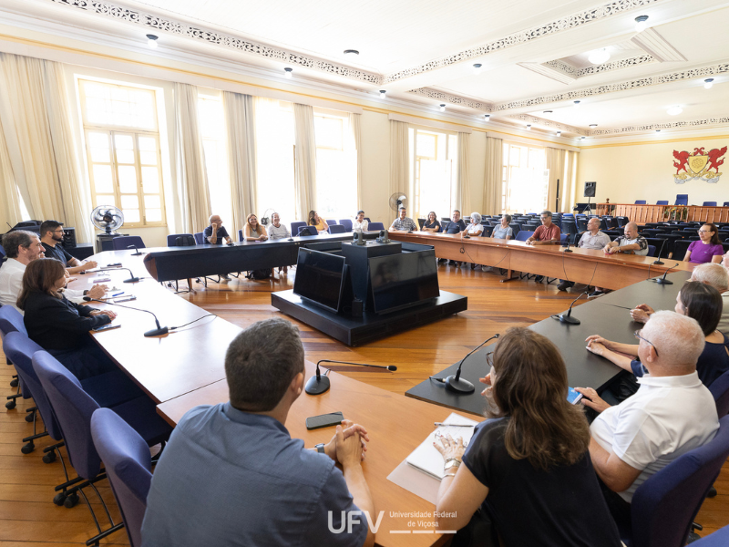 Foto do portal da UFV