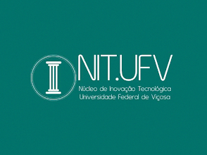 Foto do portal da UFV