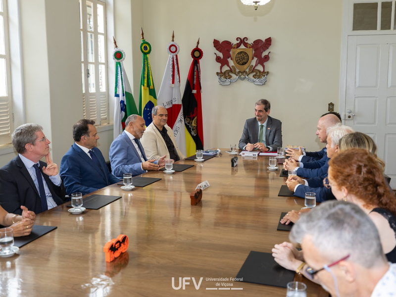 Foto do portal da UFV
